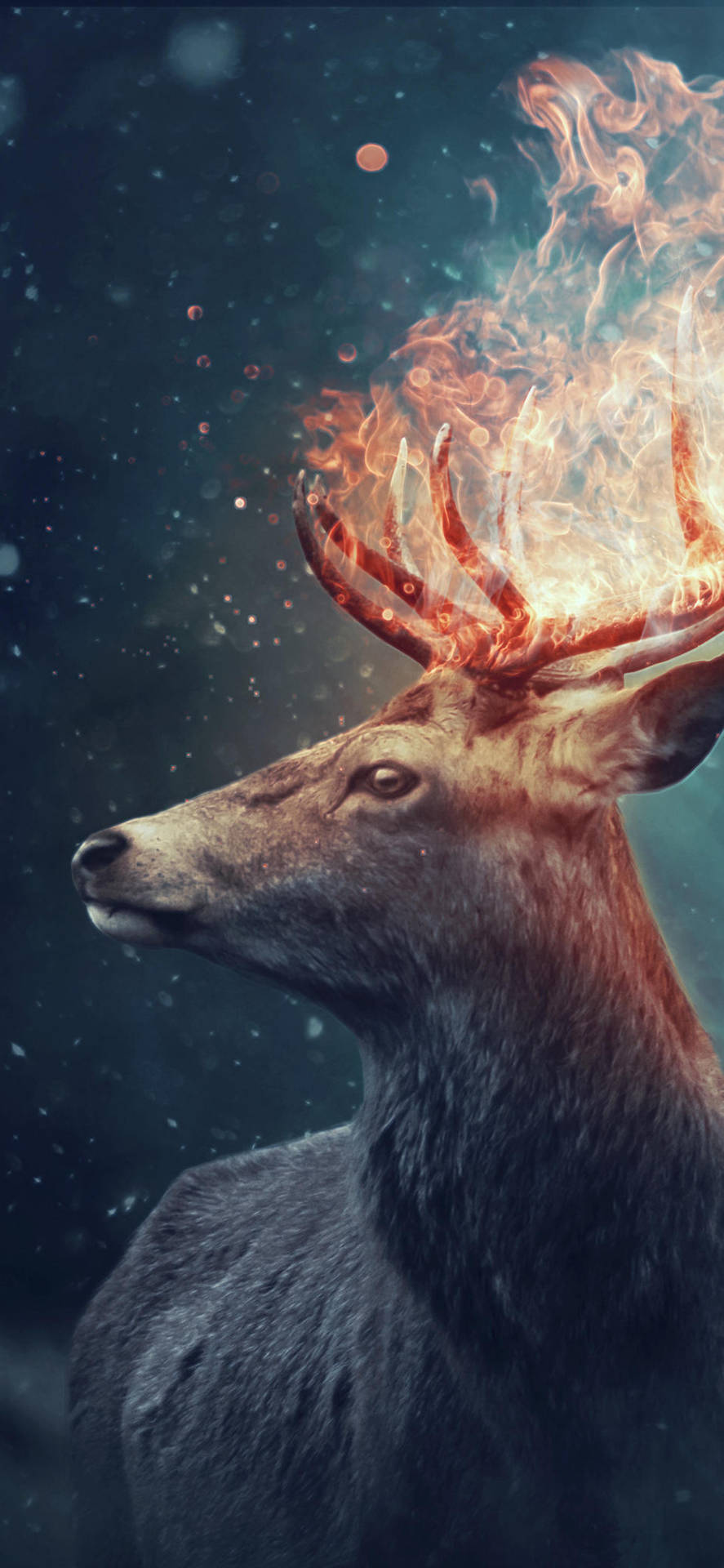 A Deer With Fire On Its Head Background