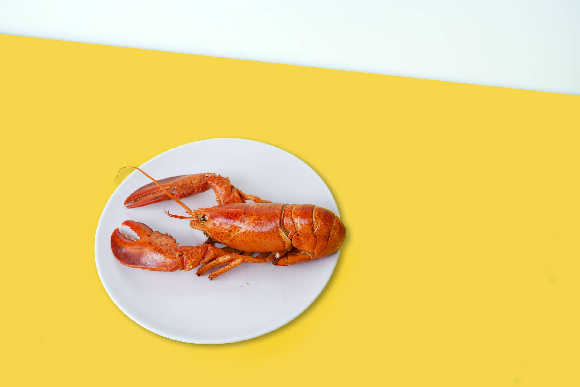 A Delectable Crayfish Dish On A Bright Yellow Table. Background