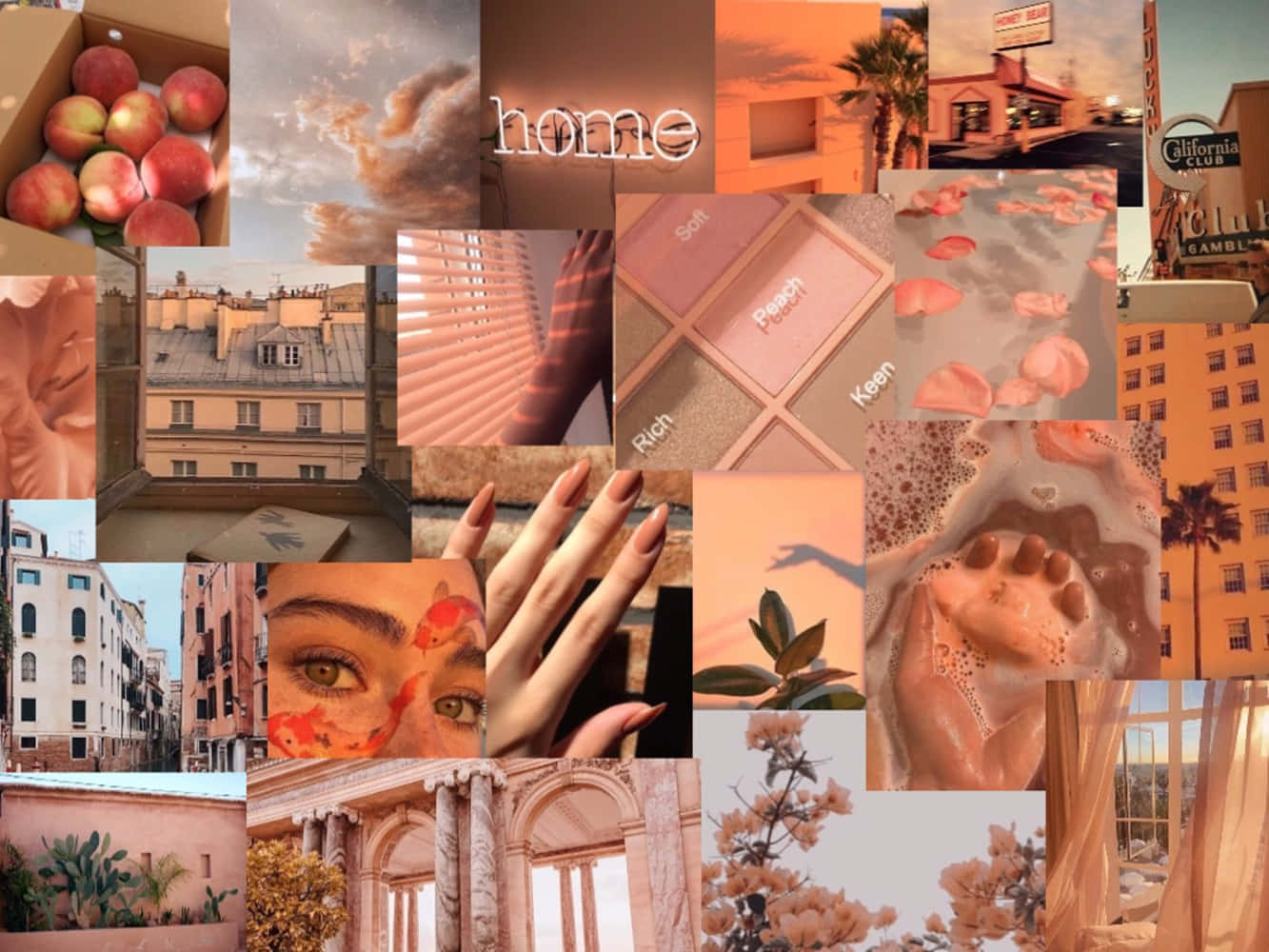 A Delicate Beauty: Capture A Timeless Moment With This Vintage Peach Image Background