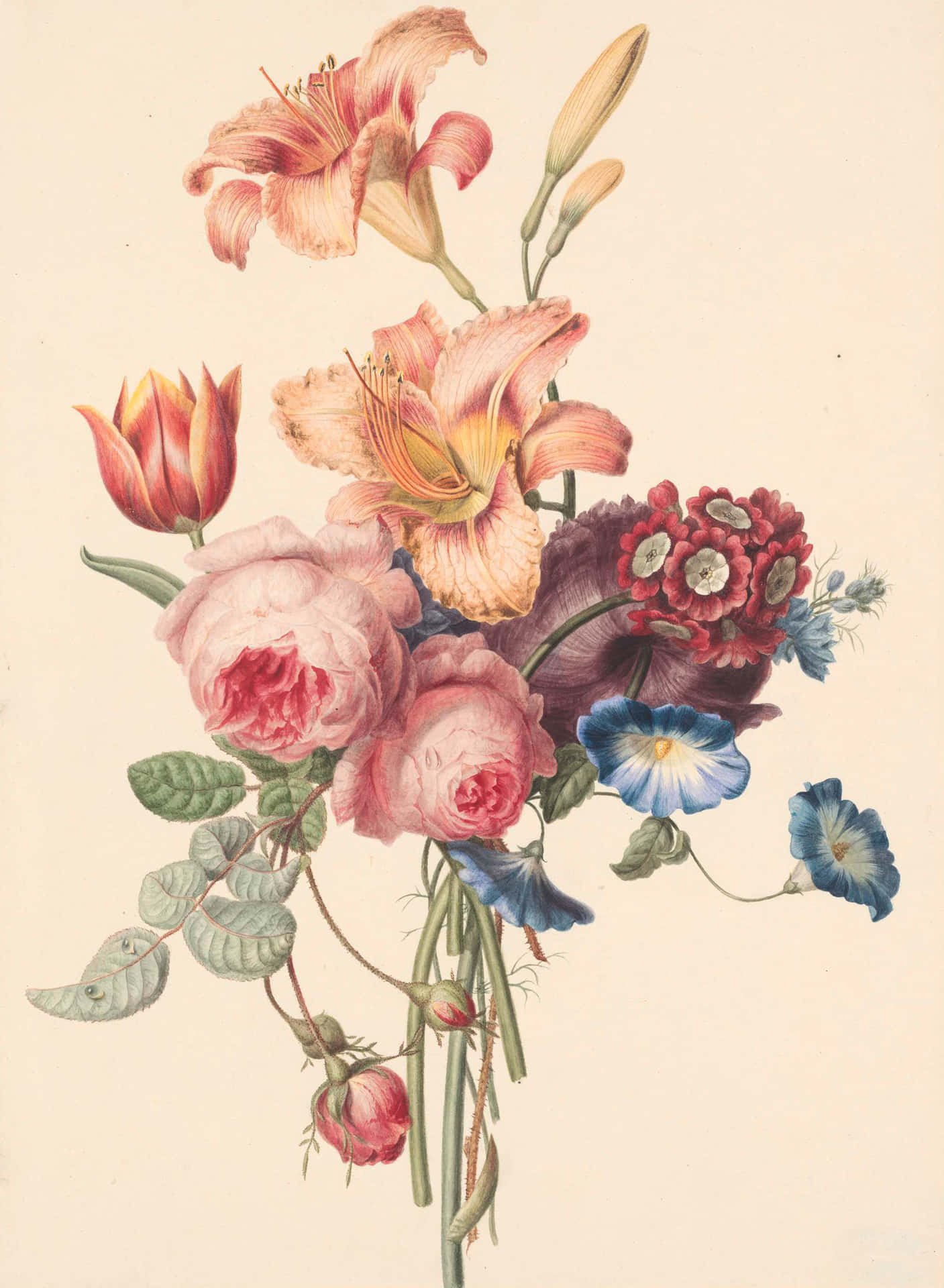 A Delicate Watercolor Flower Drawing Background