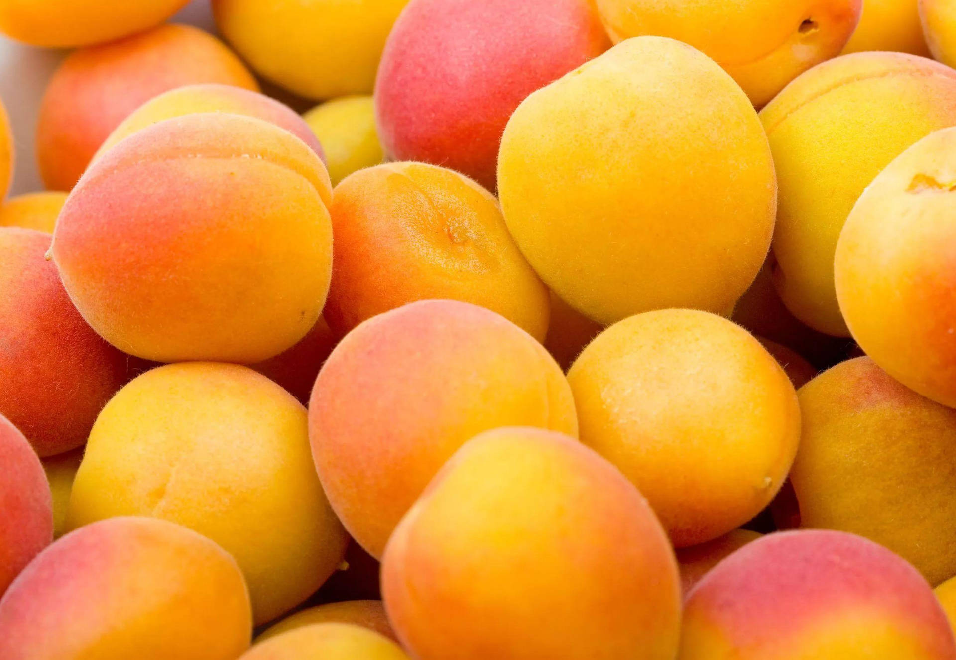 A Delightful Display Of Freshly Harvested Apricots Background