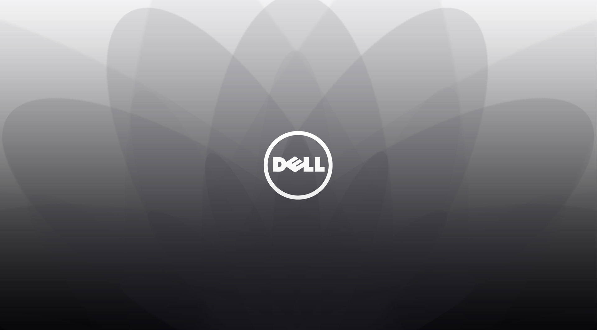 A Dell Hd Logo With Gray And White Design Background