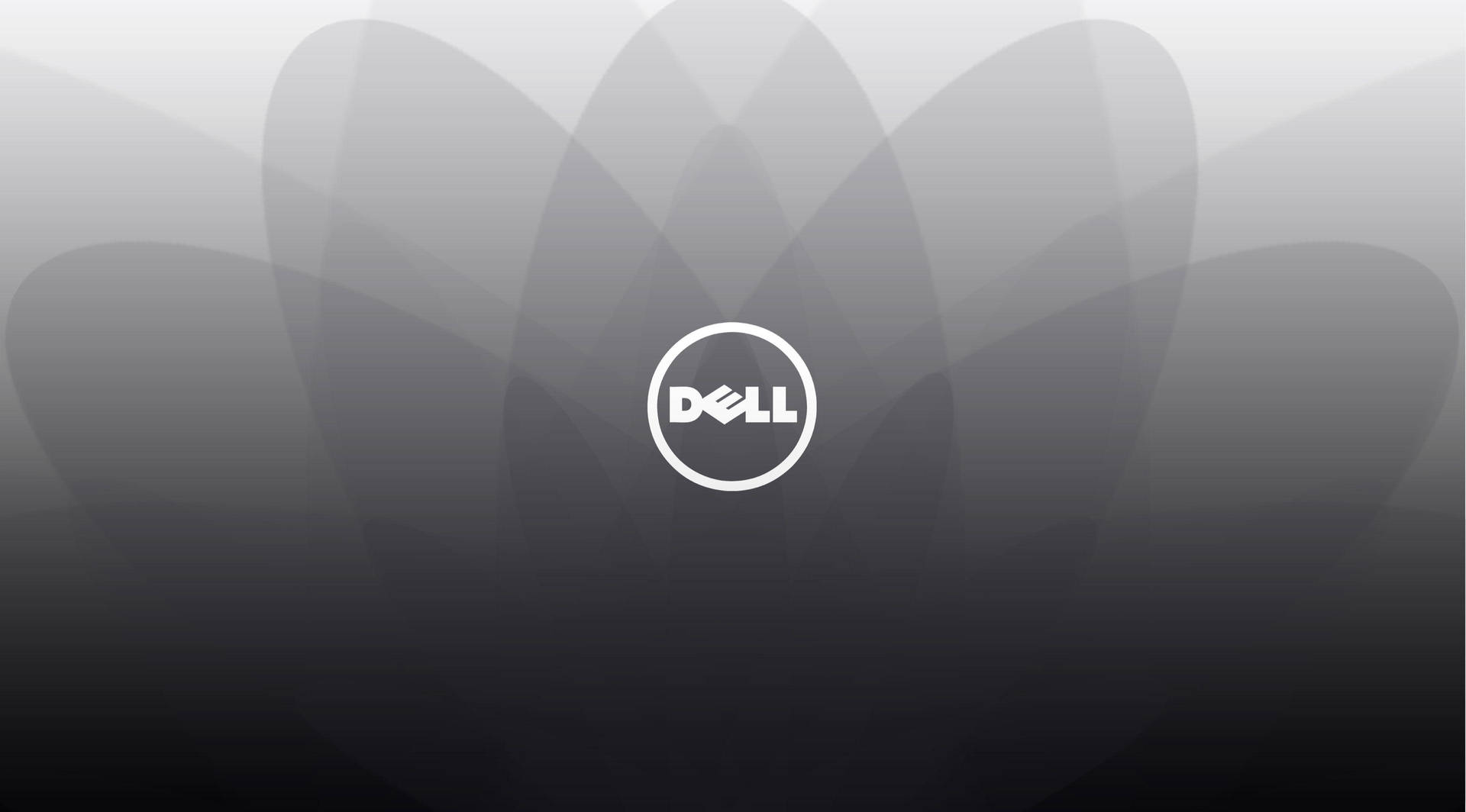 A Dell Hd Logo With Gray And White Design