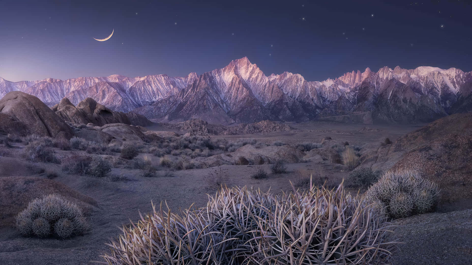 A Desert Landscape With Cactus And Mountains At Night Background