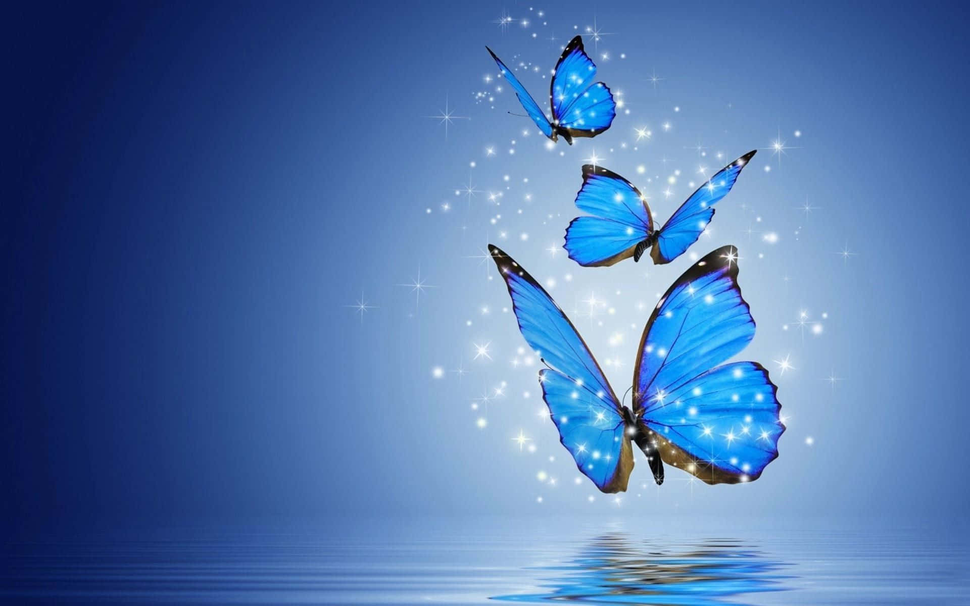 A Desktop Laptop Adorned In Butterflies Background