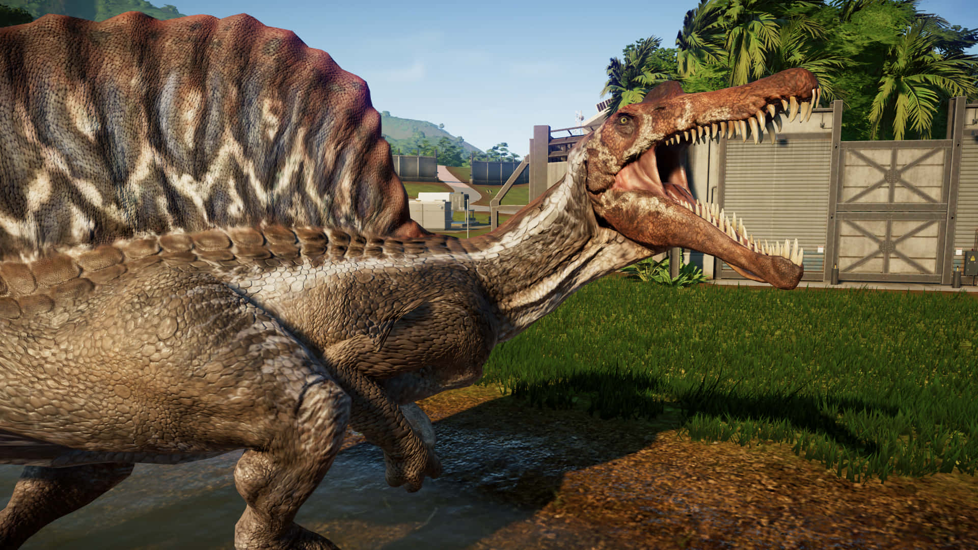 A Dinosaur Is Standing In The Grass Near A House Background