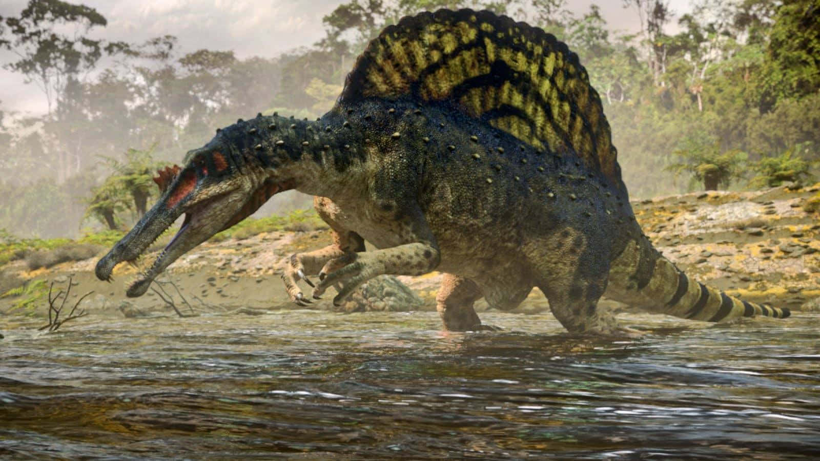 A Dinosaur Is Walking Through A River Background