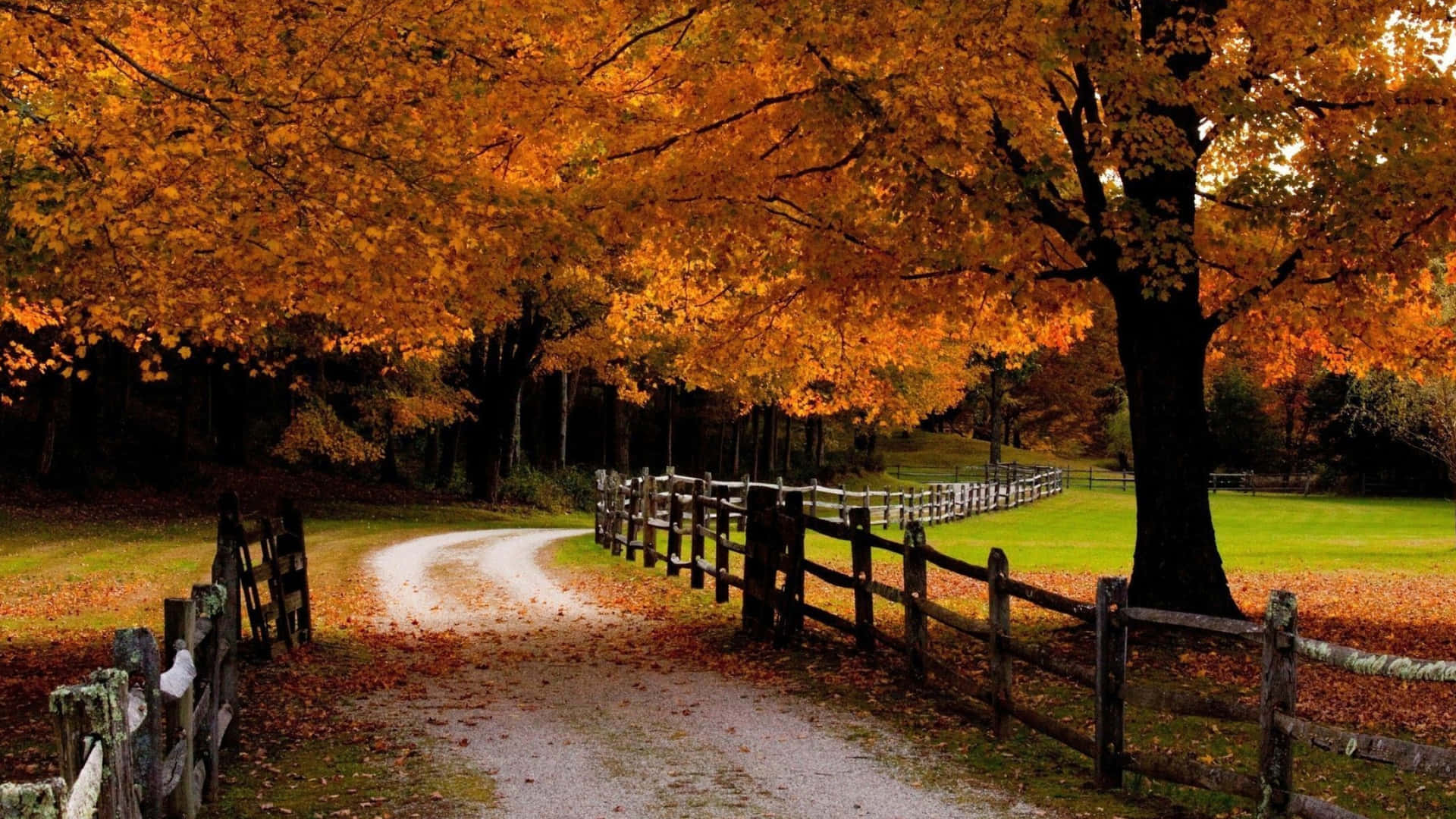 A Dirt Road With Trees And A Fence Background