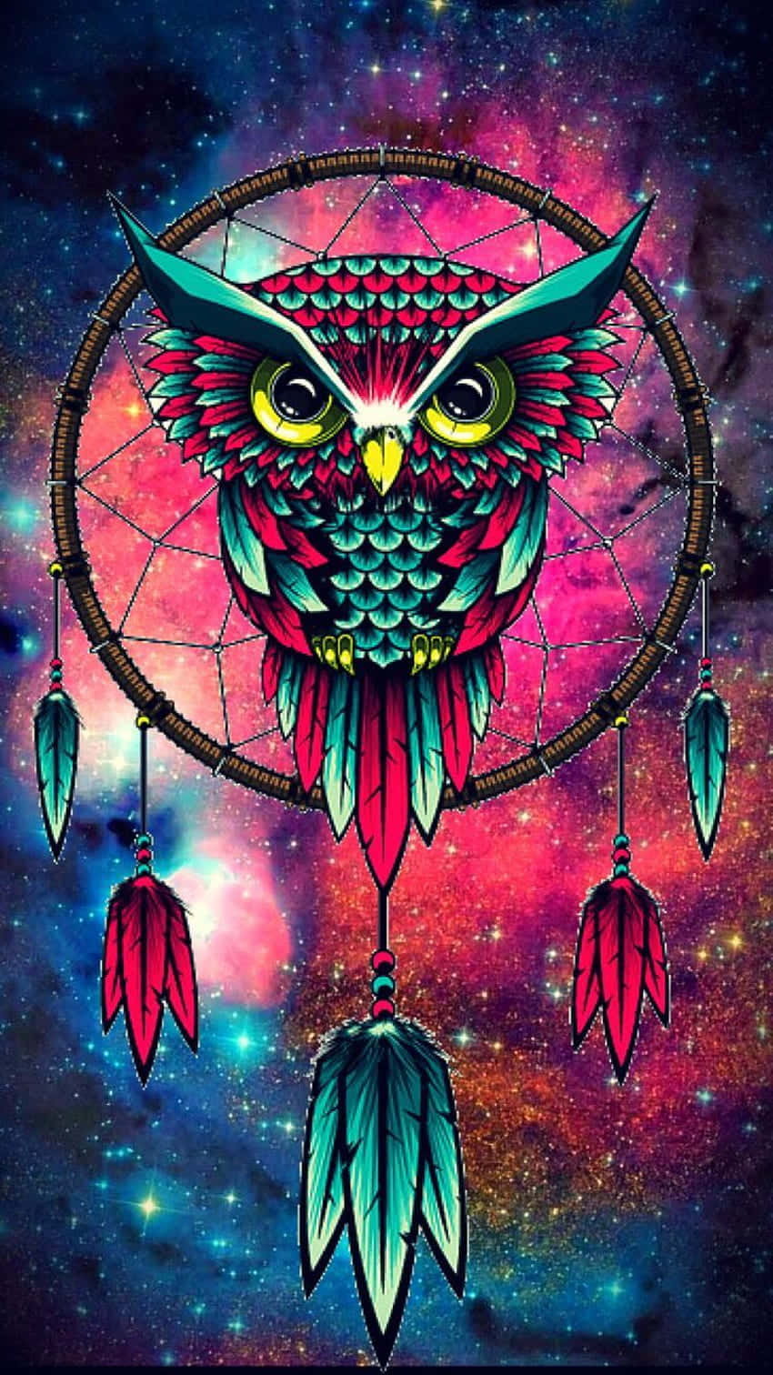 A Distinct Owl In A Dreamcatcher