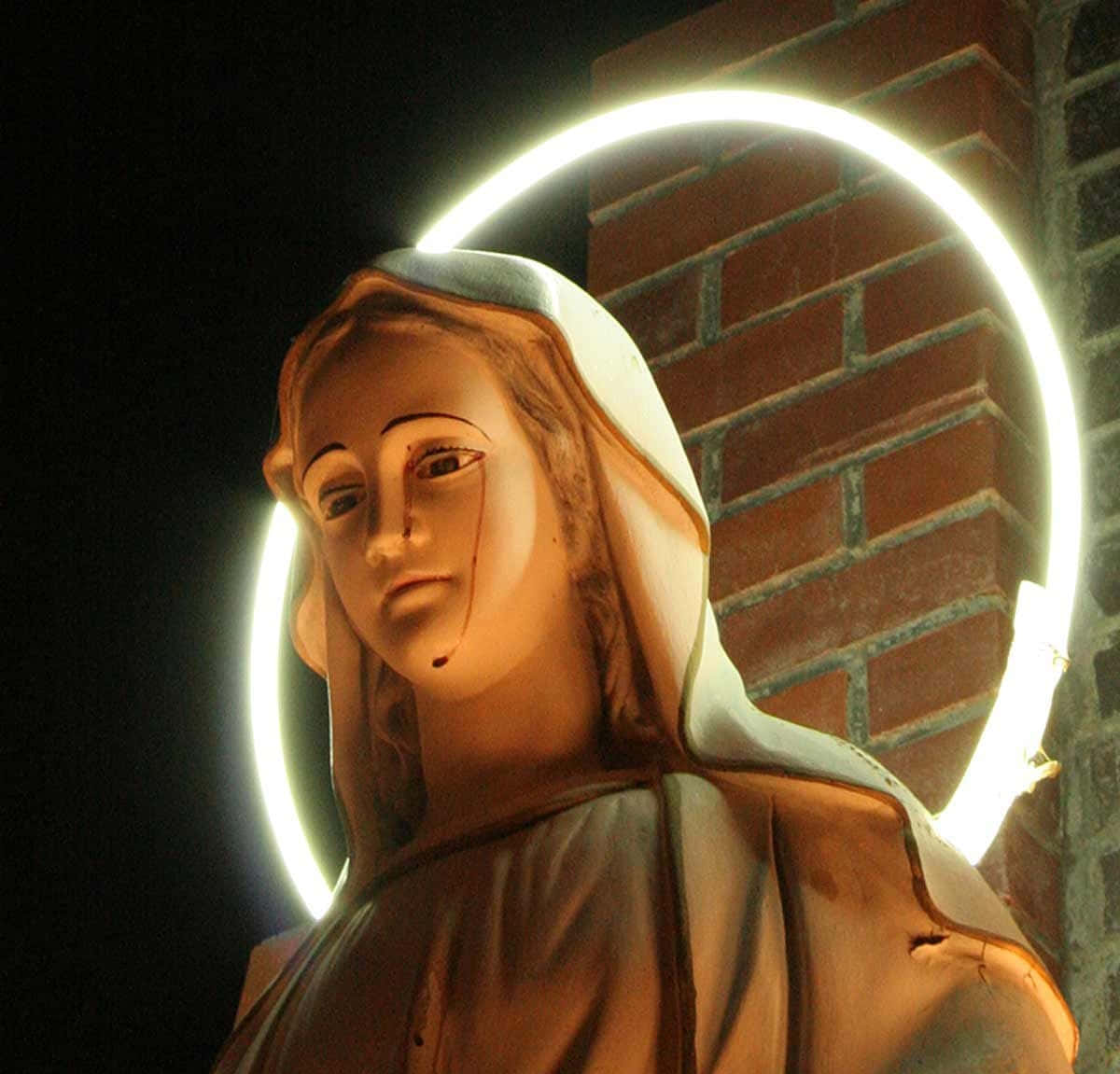 A Divine Image Of Mother Mary