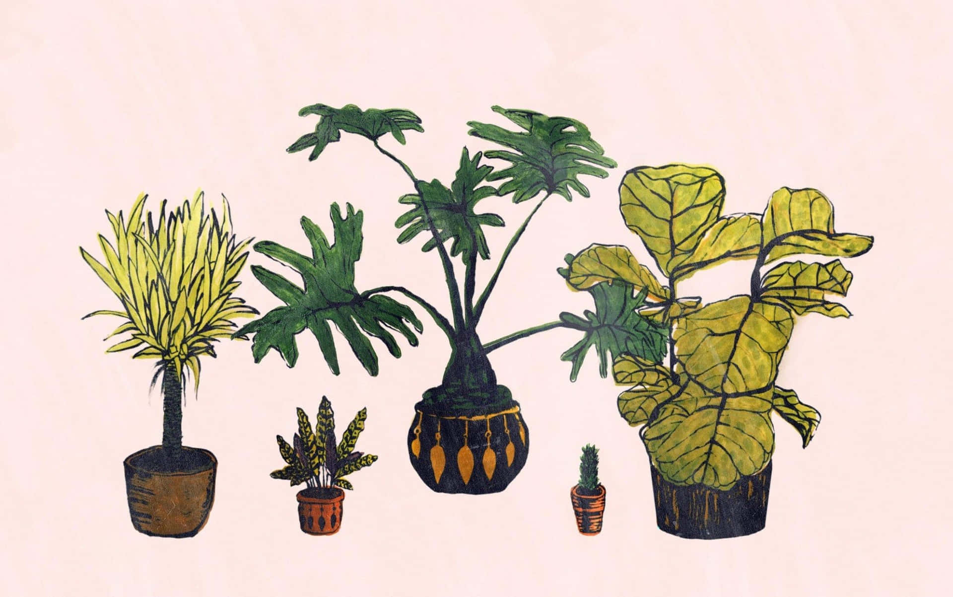 A Drawing Of A Group Of Plants In Pots Background