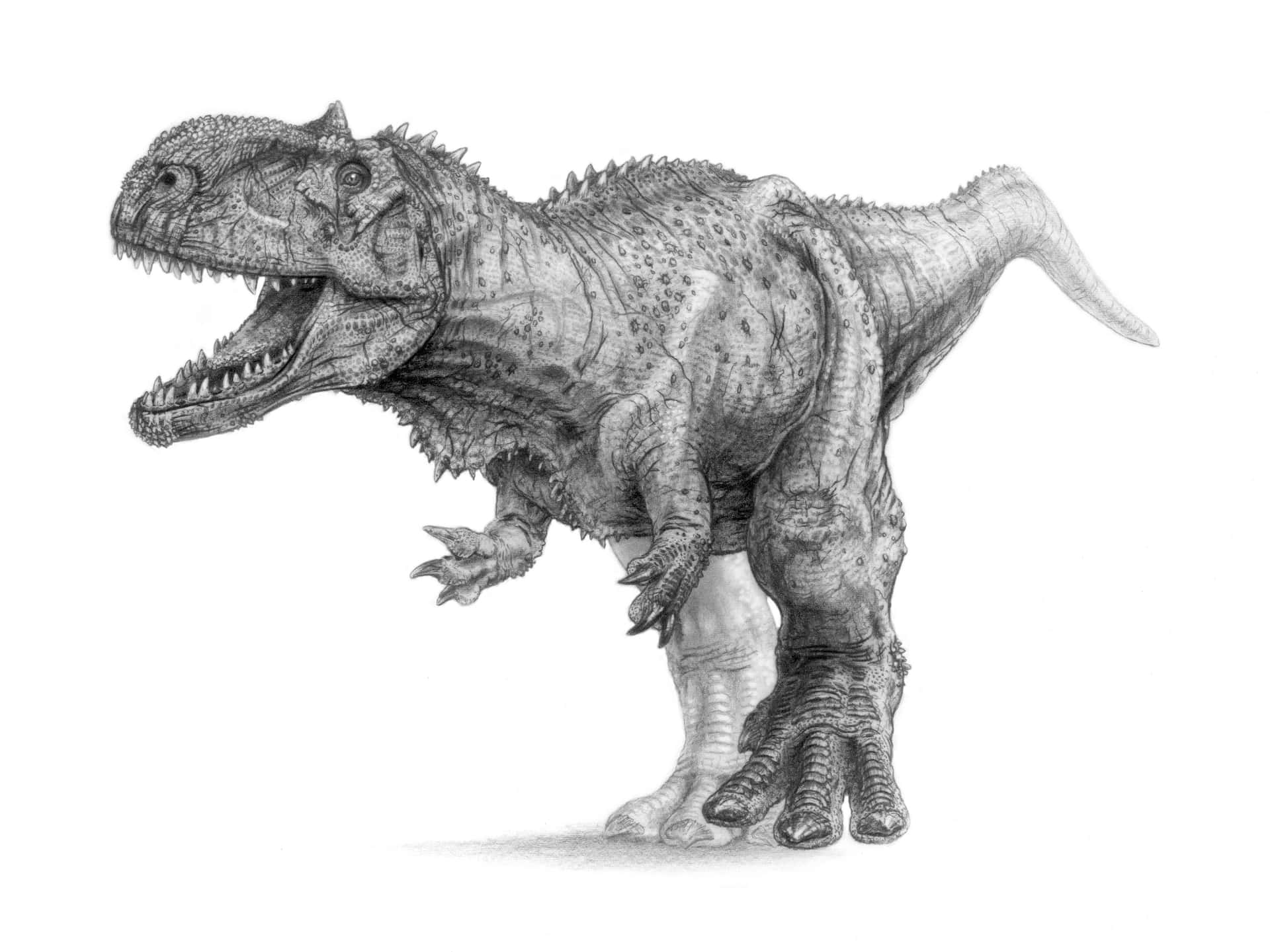 A Drawing Of A T - Rex Dinosaur Background