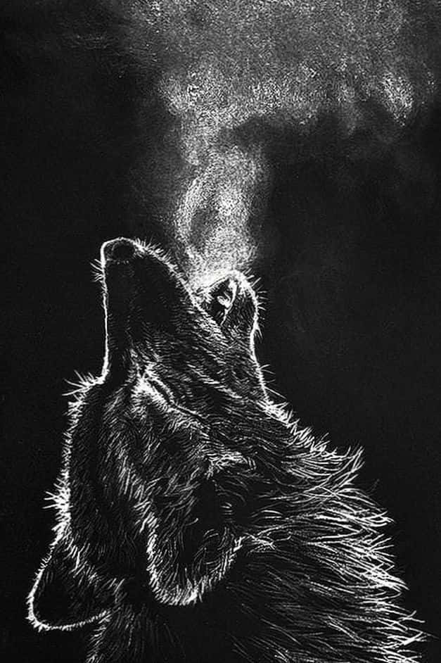 A Drawing Of A Wolf Howling In The Air Background