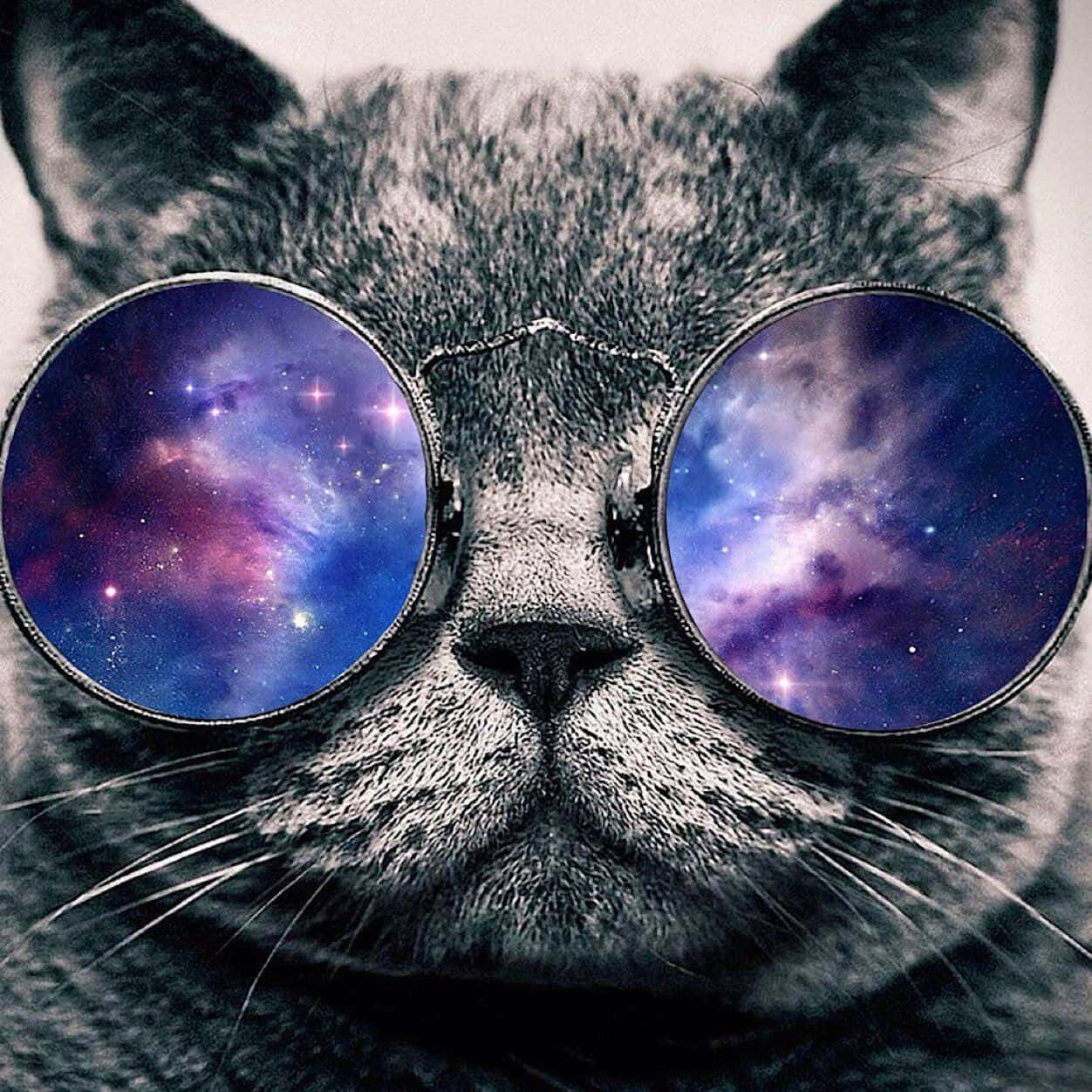 A Dreamy, Galactic Cat Looking Off Into The Night