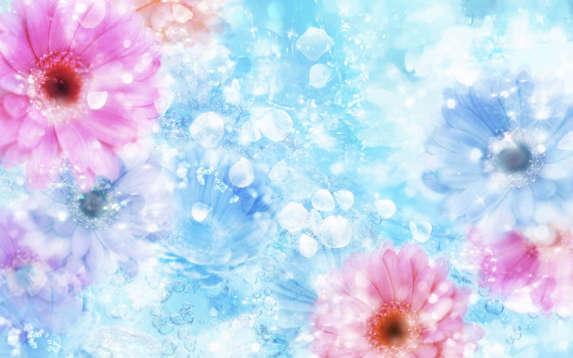 A Dreamy Pink Flower Desktop Wallpaper Background