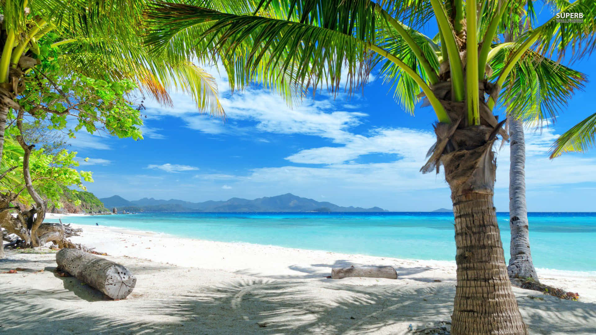 A Dreamy Tropical Beach With Bright Blue Water And Soft White Sand. Background
