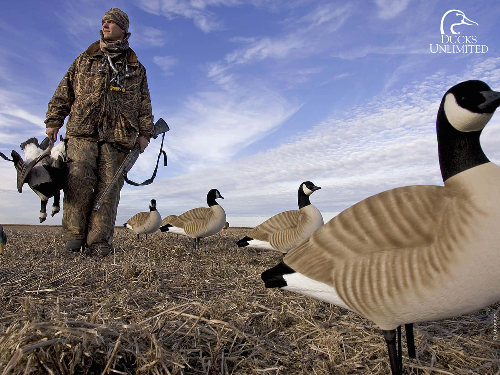 A Duck Hunter Remains Focused On His Prey Before Pulling The Trigger Background