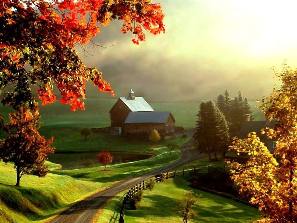 A Farm And A Road With Trees And A Misty Morning