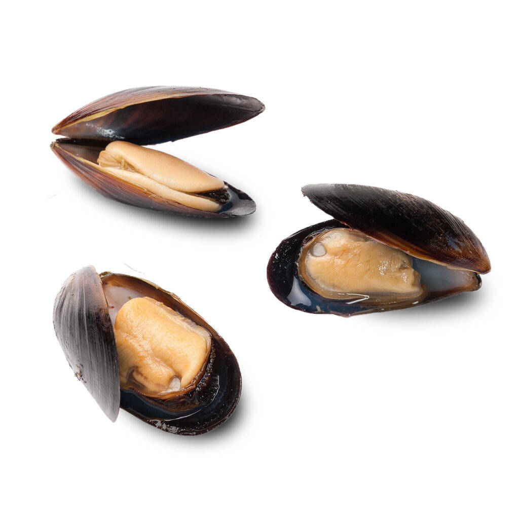 A Fascinating Display Of Brown Mussels With Opened Shells Background