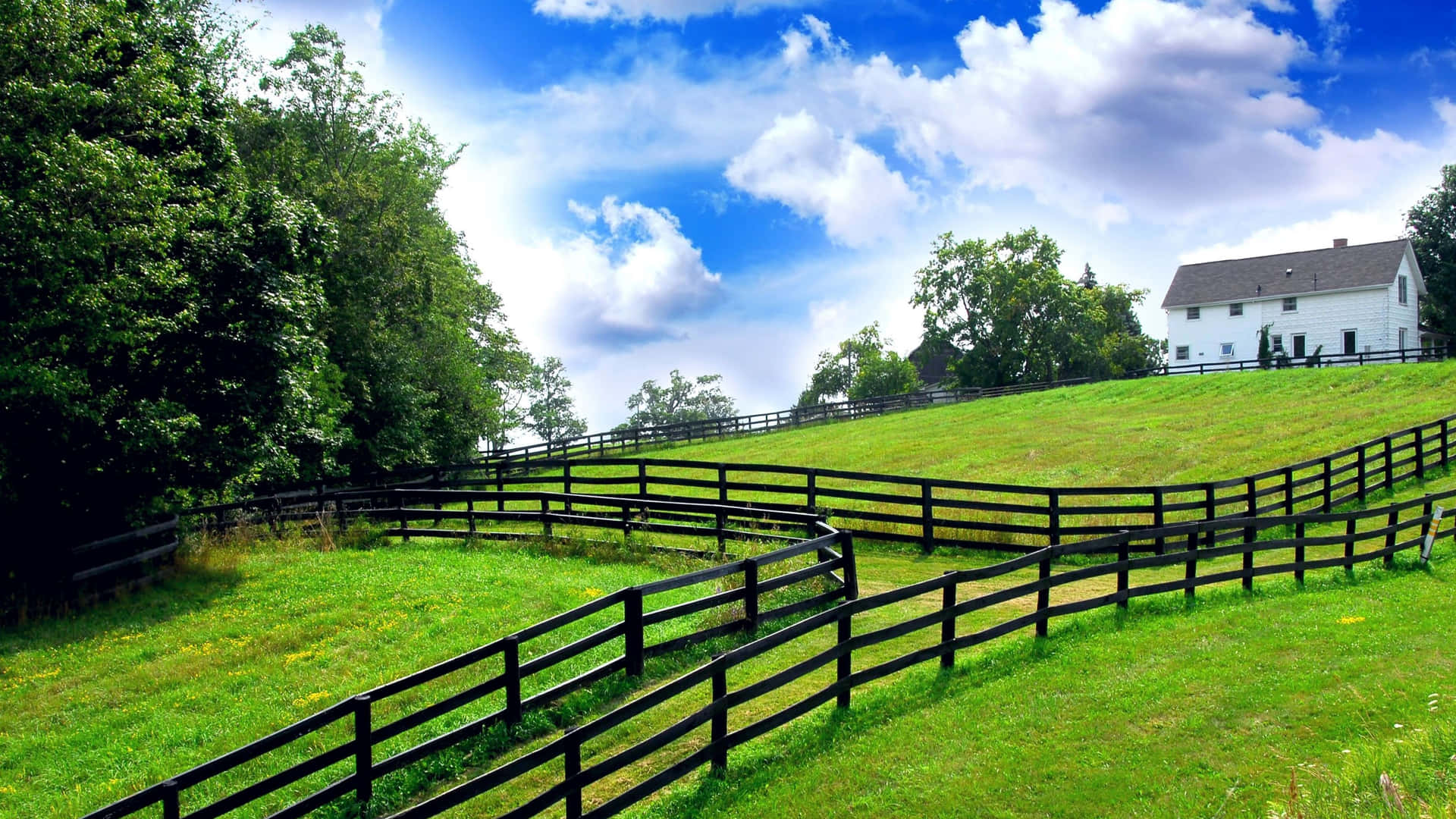 A Fence With Black Bars Background