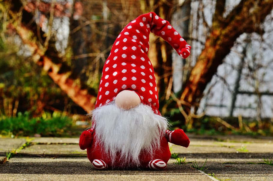 A Festive Christmas Gnome Enjoying The Holiday Season. Background