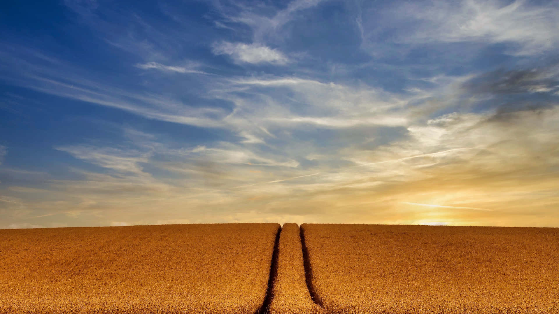 A Field With Two Tracks In The Middle Of It Background