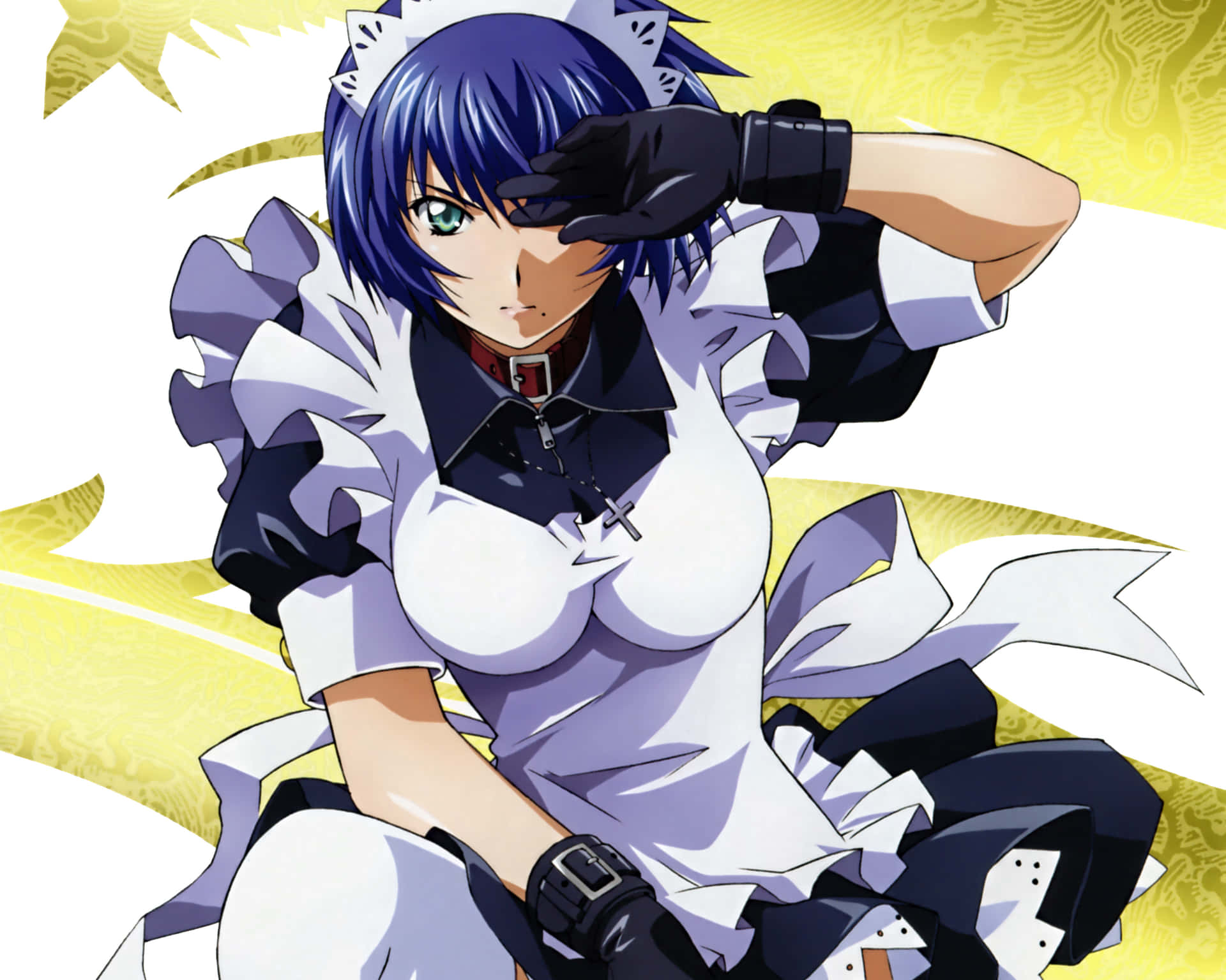 A Fierce Battle Between Two Fighter In The Anime Series Ikki Tousen Background