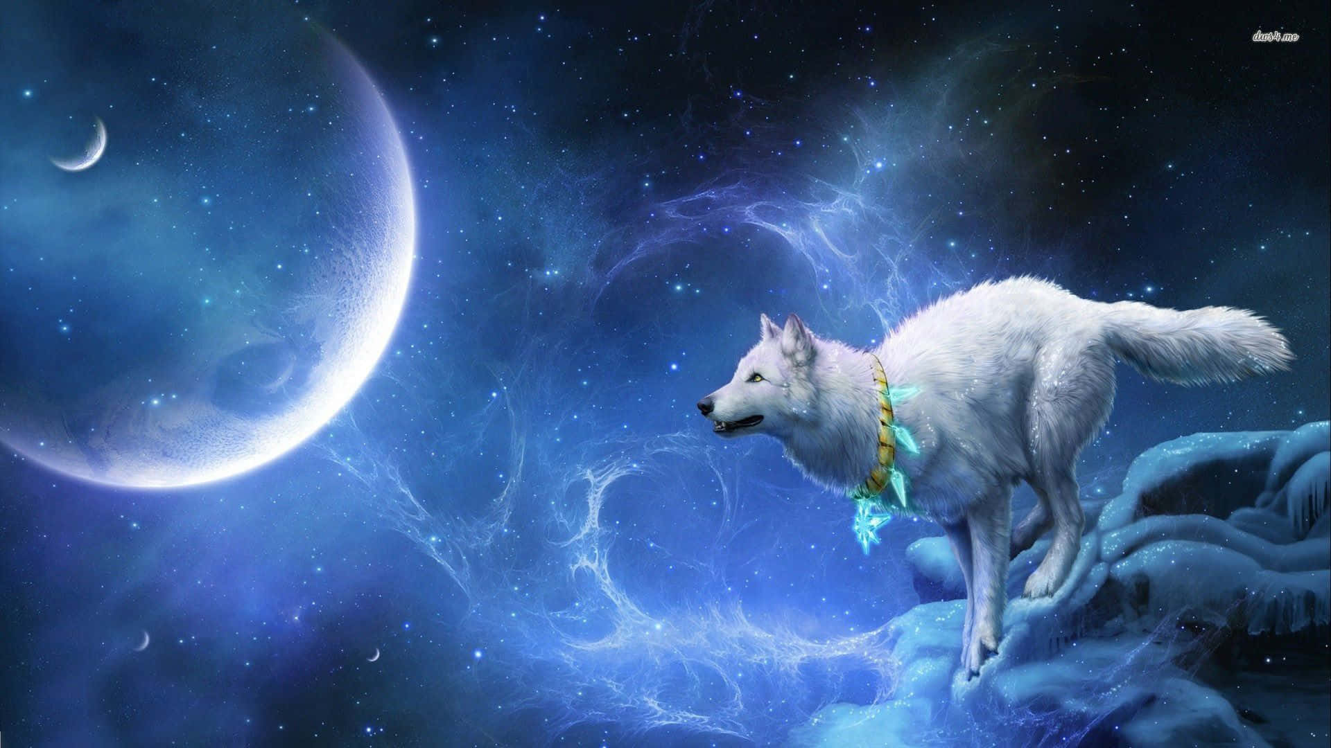 A Fierce Cool Anime Wolf Stares Into The Night