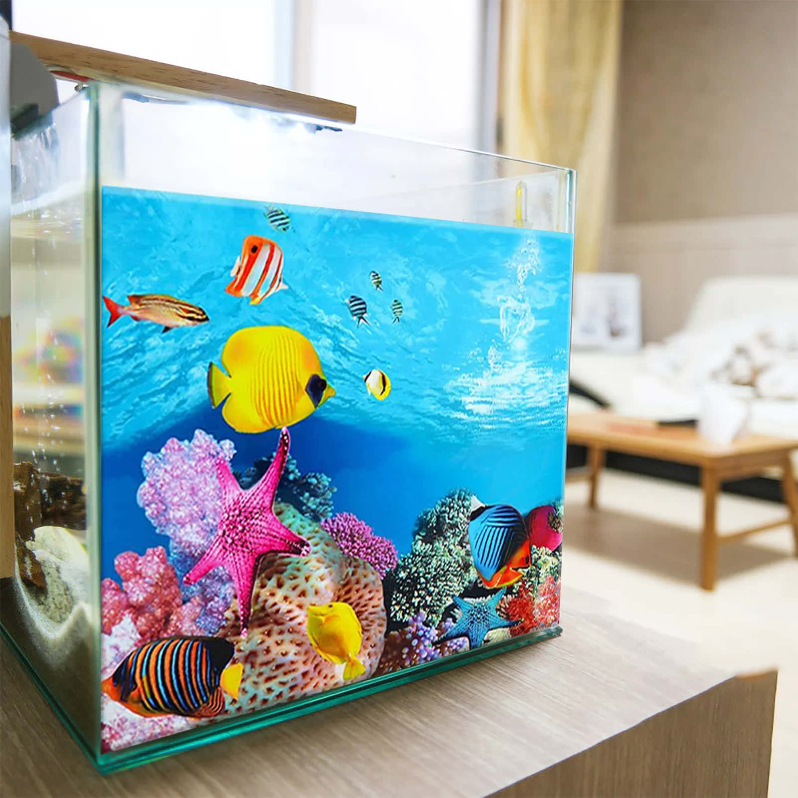 A Fish Tank With Fish And Other Fish In It Background