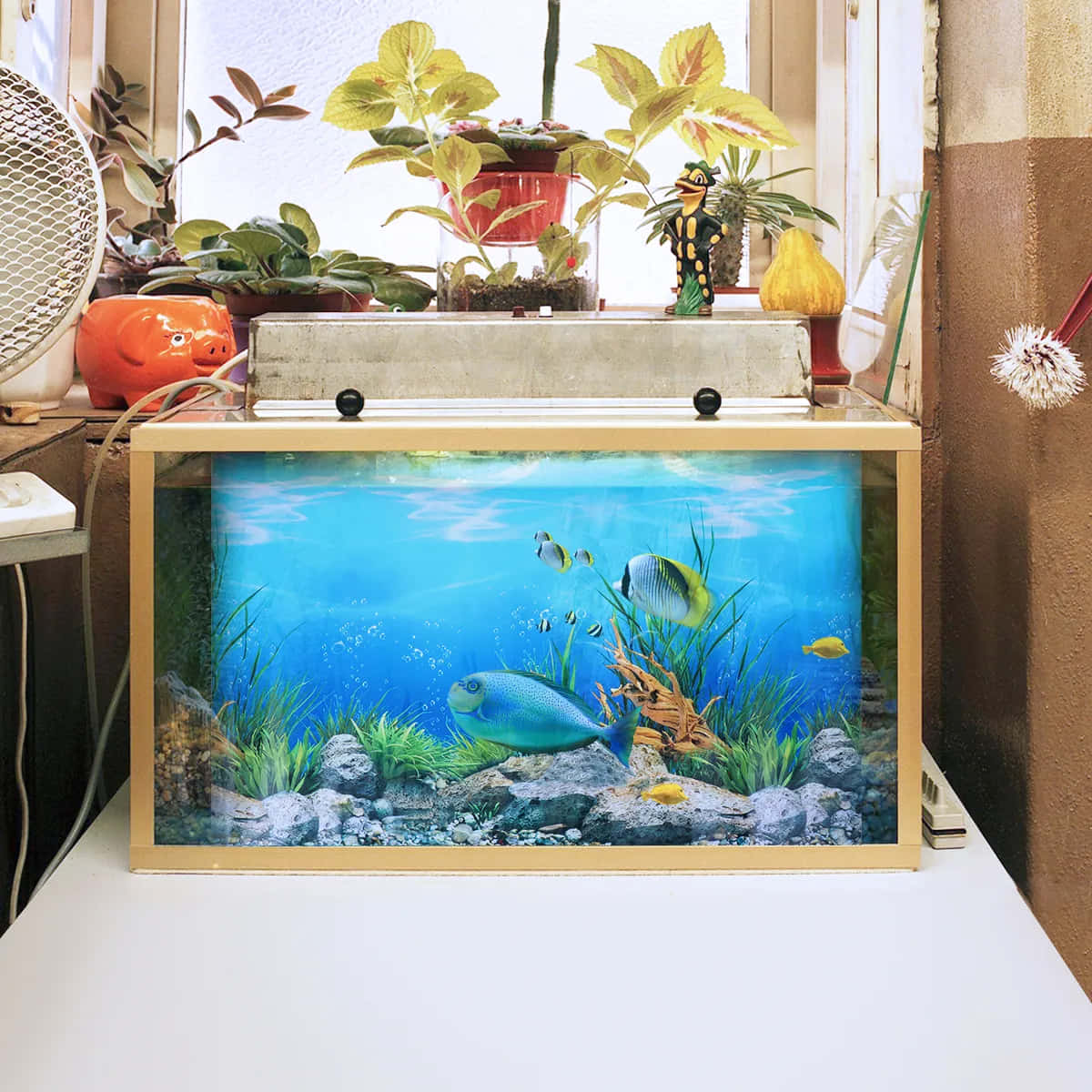 A Fish Tank With Plants And A Fan Background