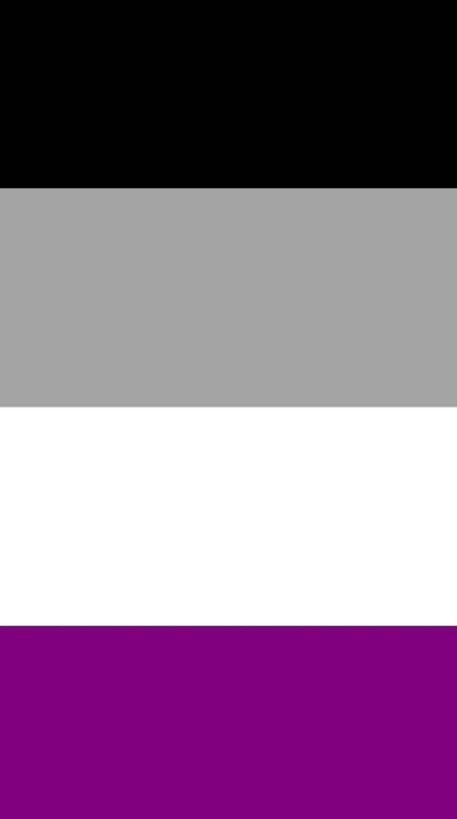 A Flag With A White, Black, And Grey Color