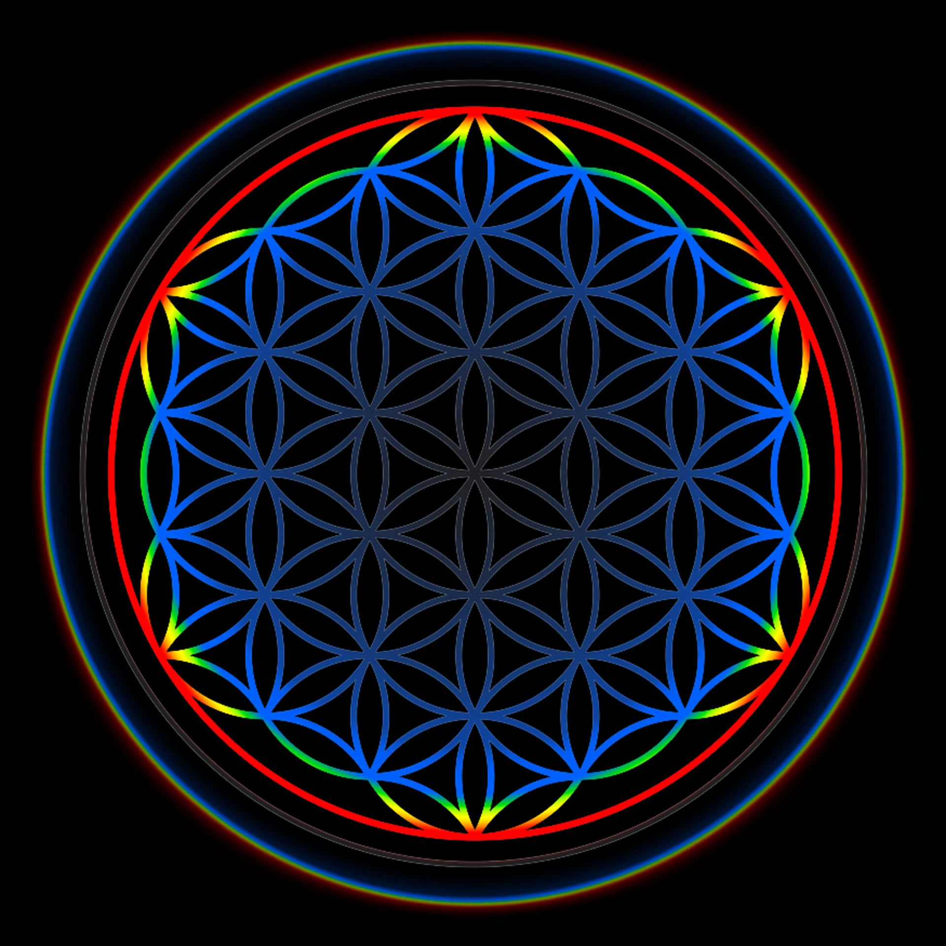 A Flower Of Life In A Circle With Colorful Lights Background