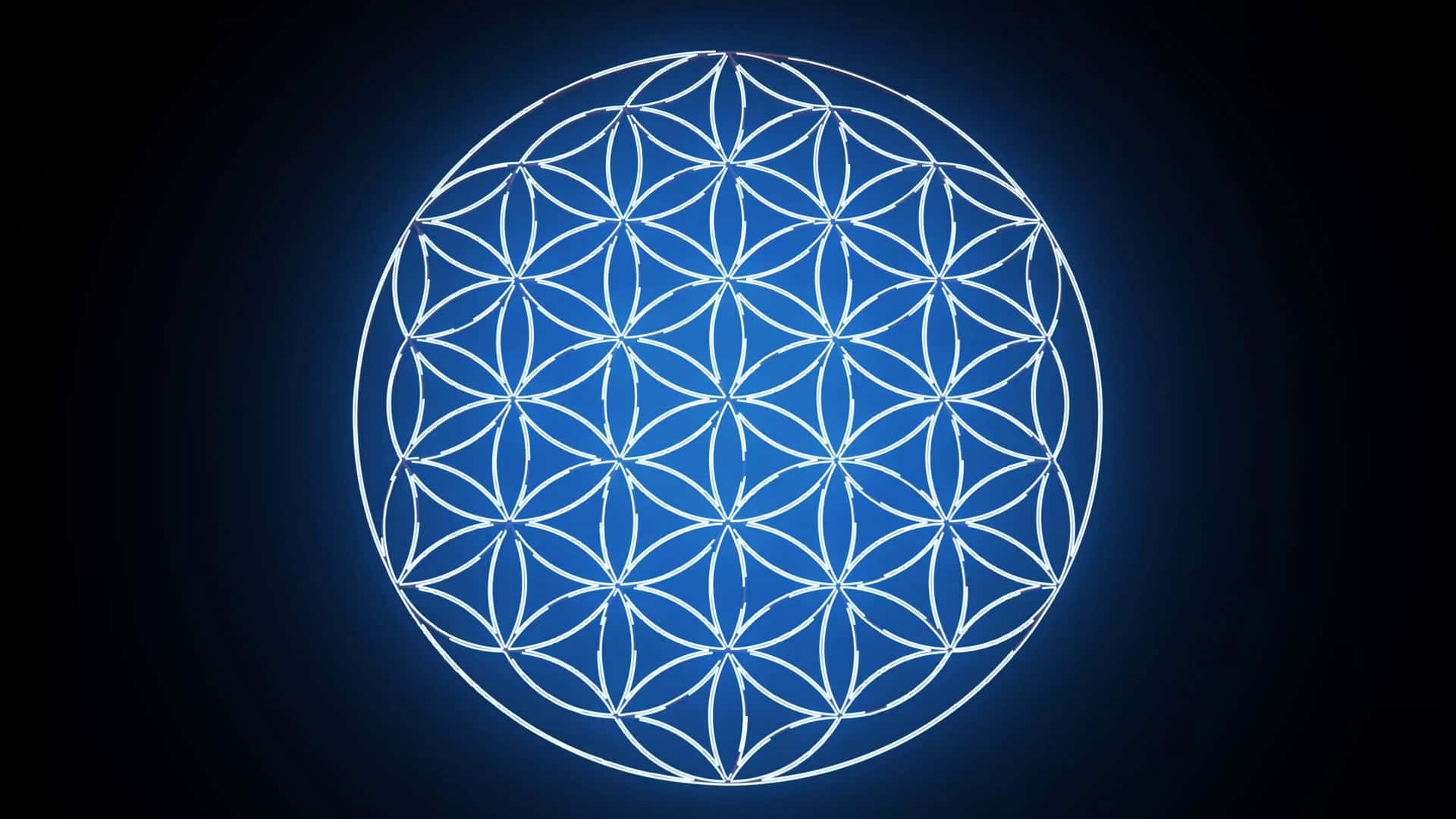 A Flower Of Life Symbol On A Black Background Background