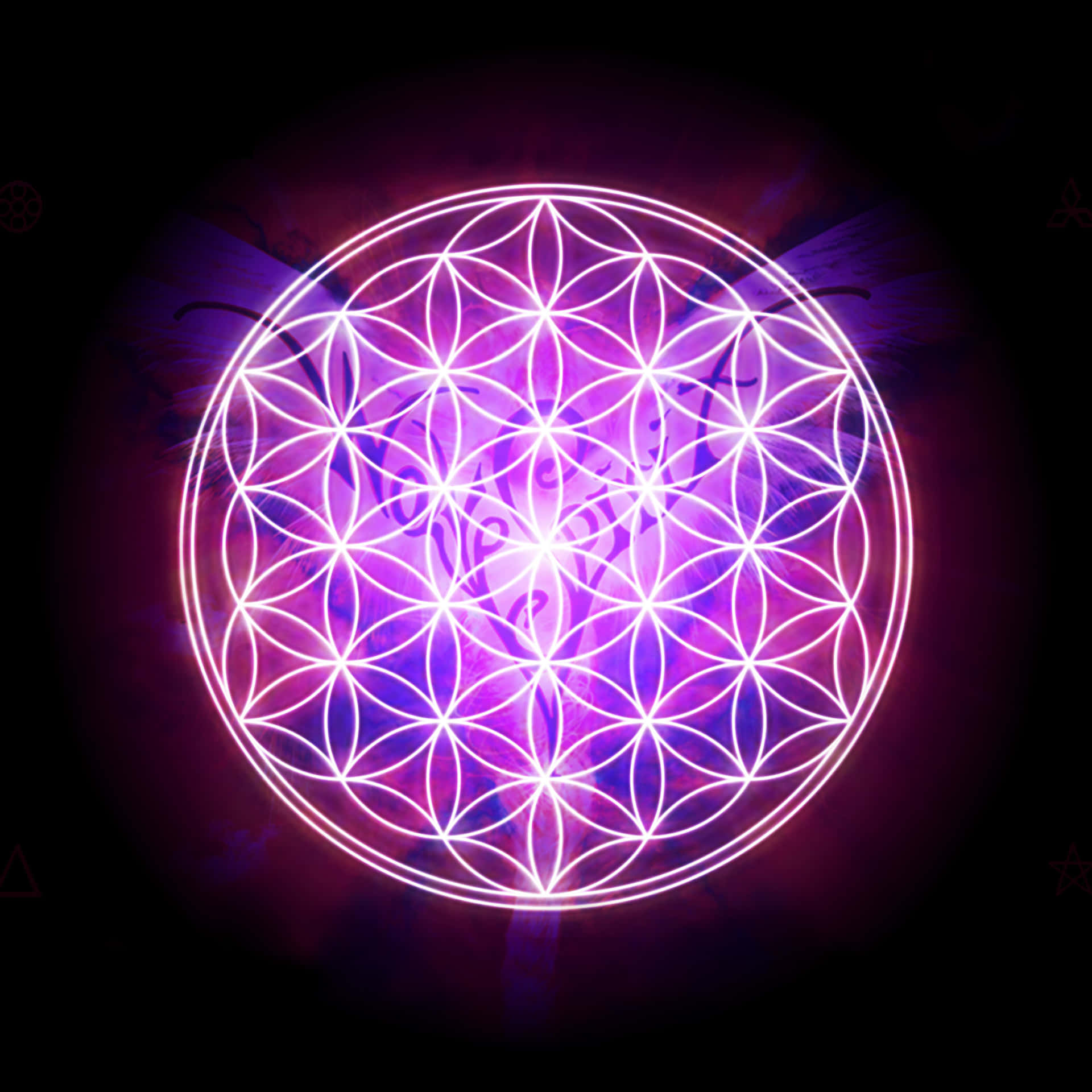 A Flower Of Life Symbol With A Purple Light Background