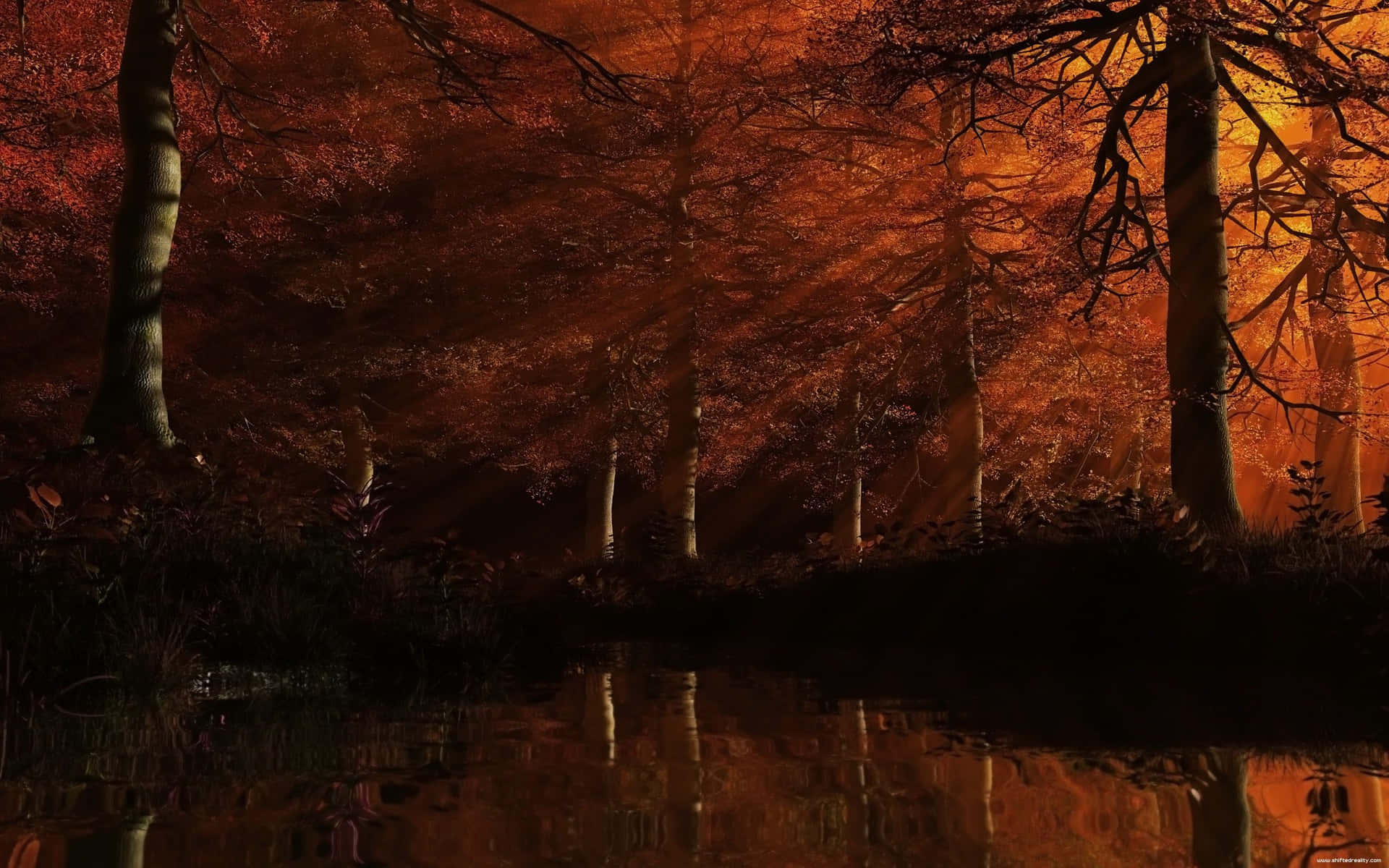 A Forest With Trees And A River Background