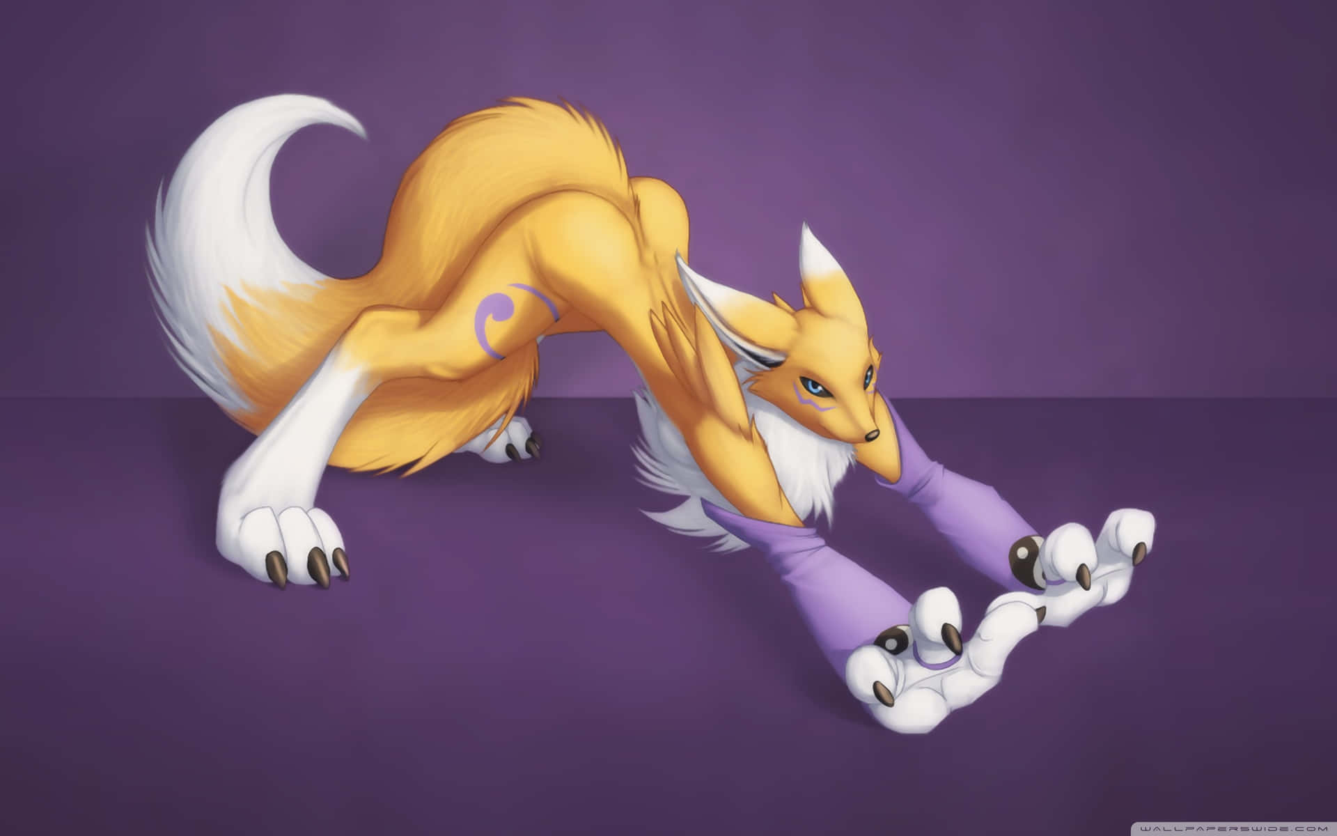 A Fox With Its Legs Stretched Out On A Purple Background Background