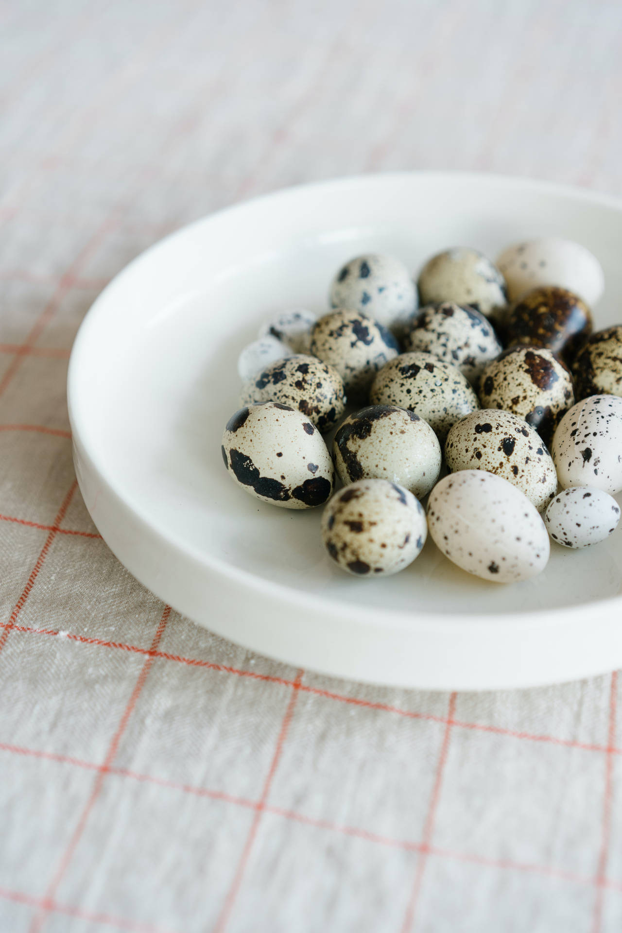 A Fresh Collection Of Quail Eggs