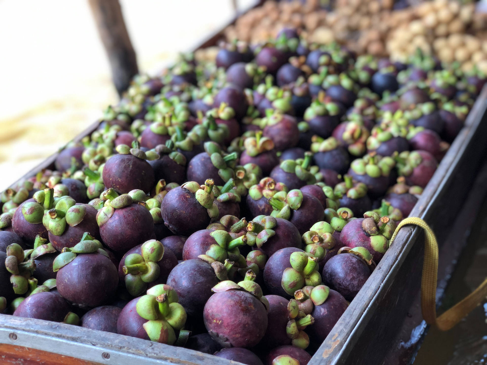 A Fresh Stockpile Of Ripe Mangosteen Fruits