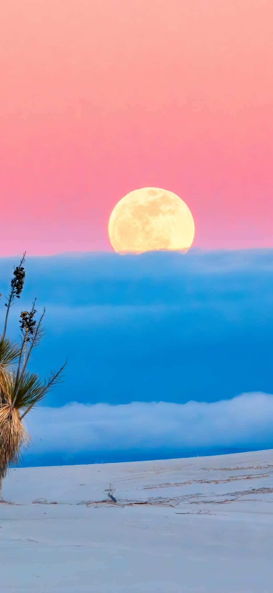 A Full Moon Rises Over A Desert