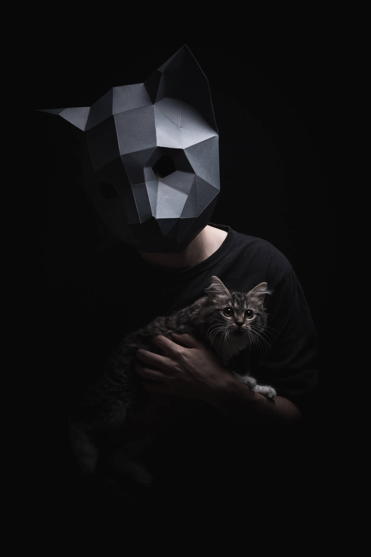 A Fun And Unique 3d Low-poly Cat Mask Background