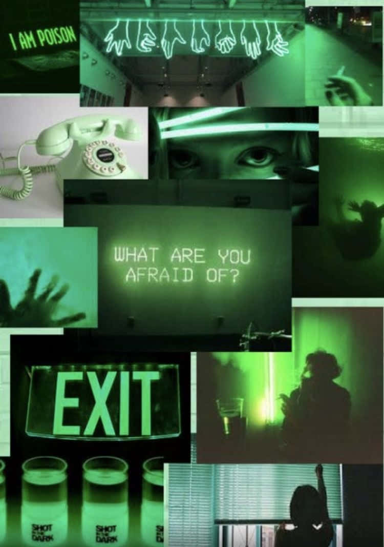 A Fun Green Collage Of Nature And Images Of People Enjoying The Outdoors.