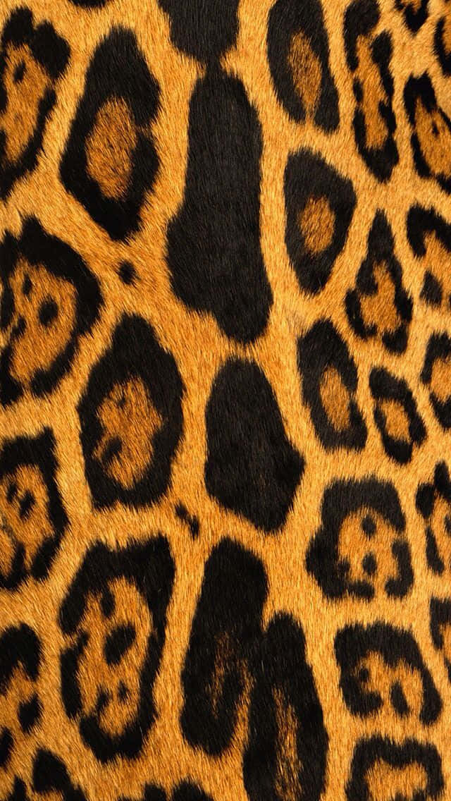 A Funky And Stylish Animal Print Iphone For All Your Needs Background