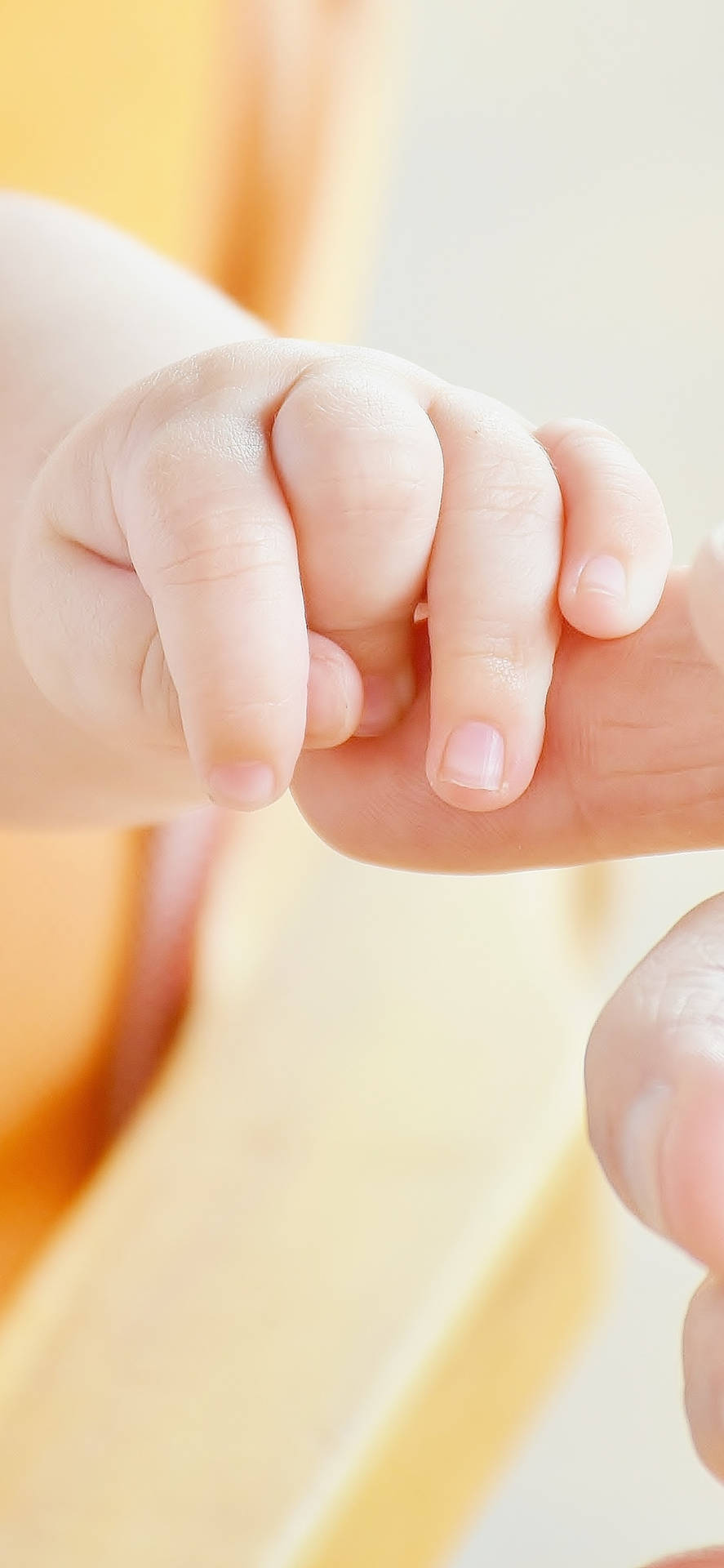 A Gentle Touch Of Love - Baby Hand Holding An Adult Finger Background