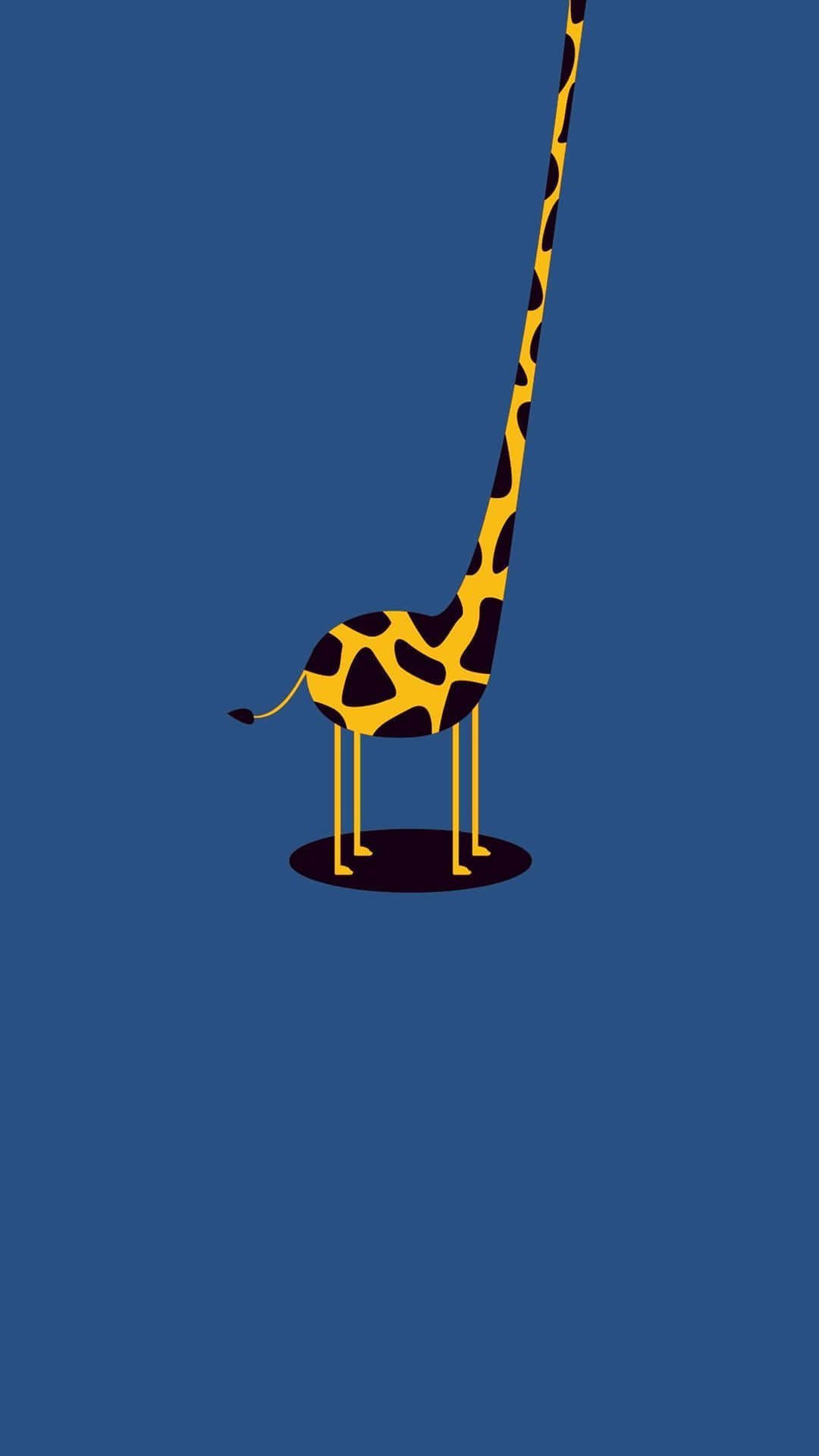 A Giraffe Standing On A Blue Background Background