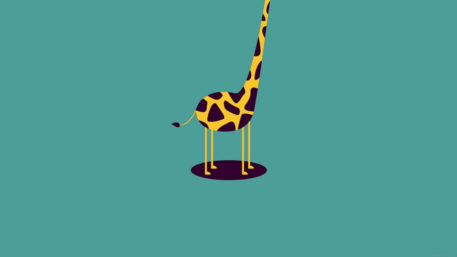 A Giraffe Standing On A Blue Background Background