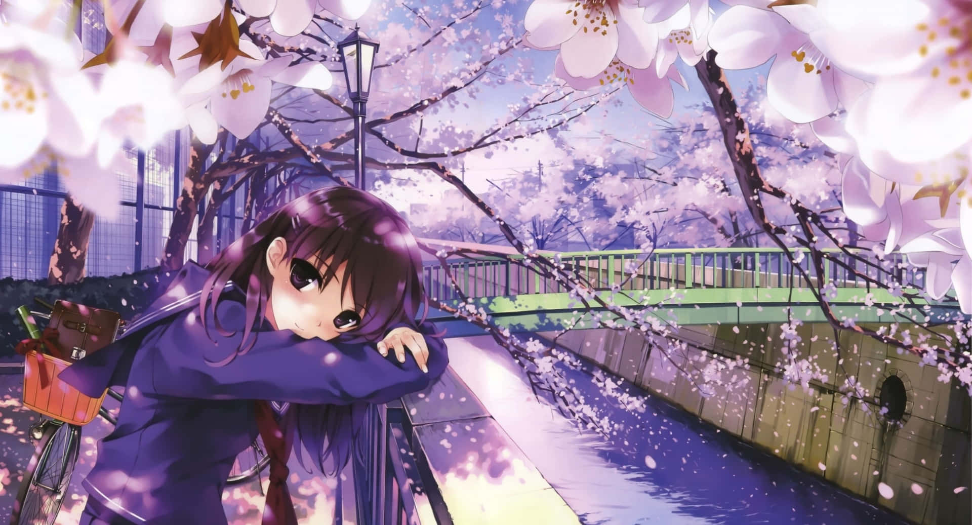 A Girl Is Sitting On A Bridge Under Cherry Blossoms