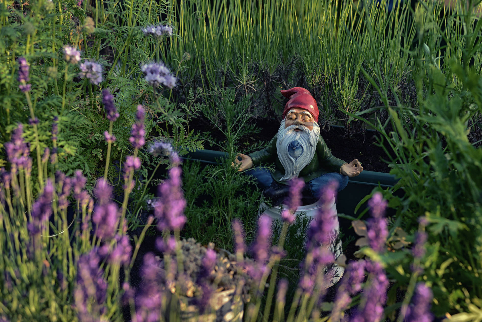 A Gnome's Garden Meditation Background