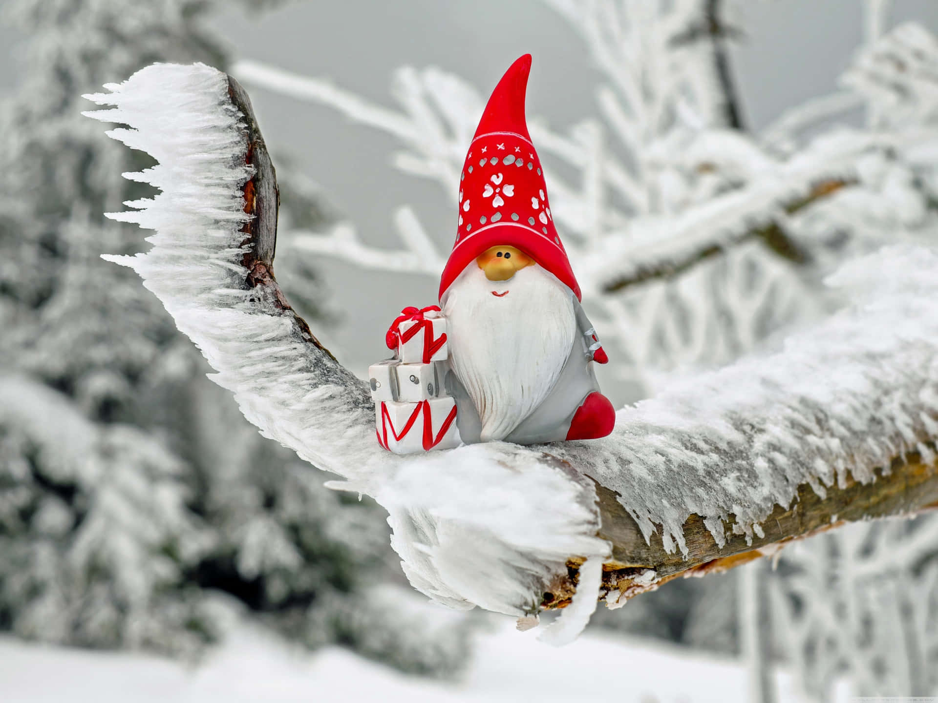 A Gnome Sitting On A Branch With Snow On It Background