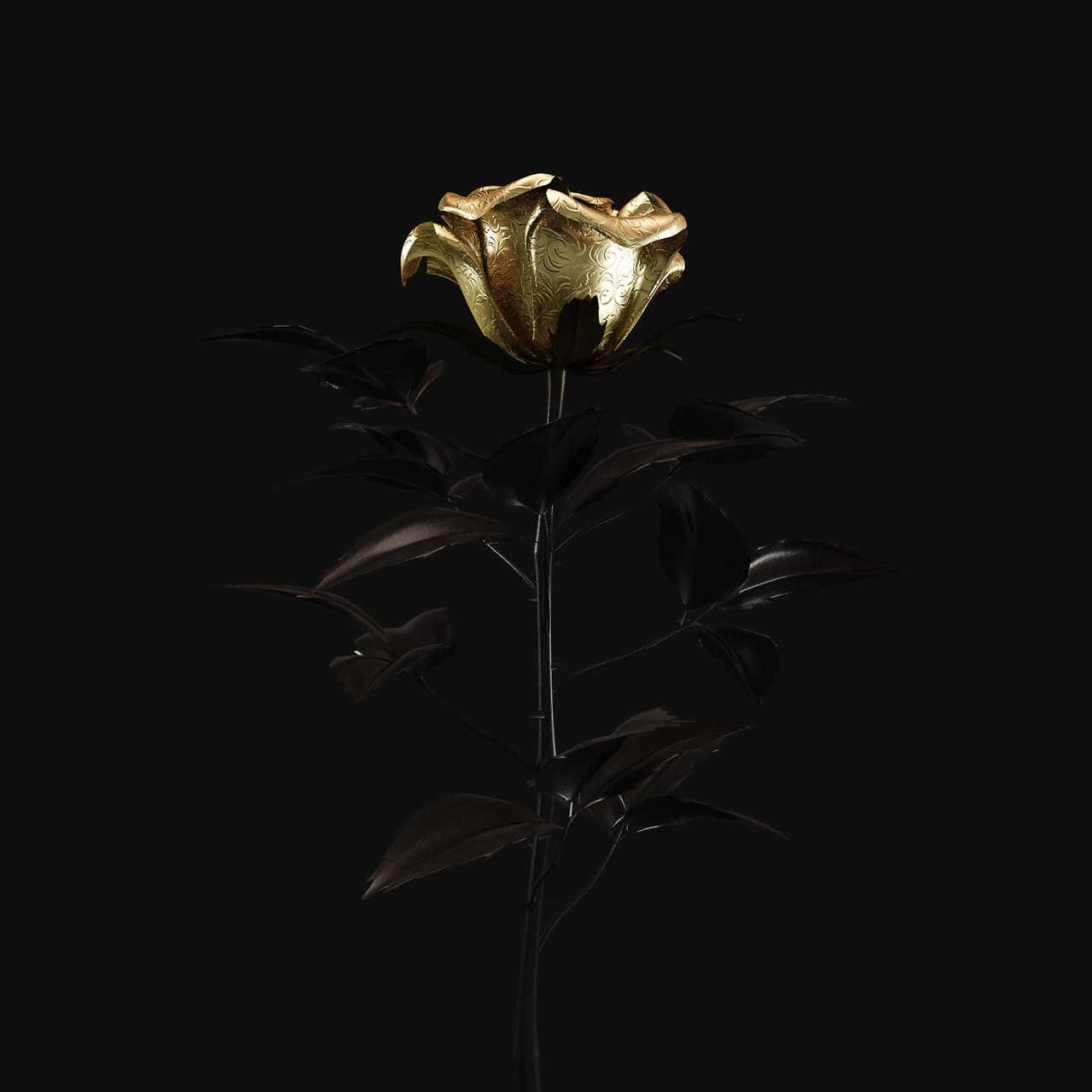 A Gold Rose On A Black Background Background