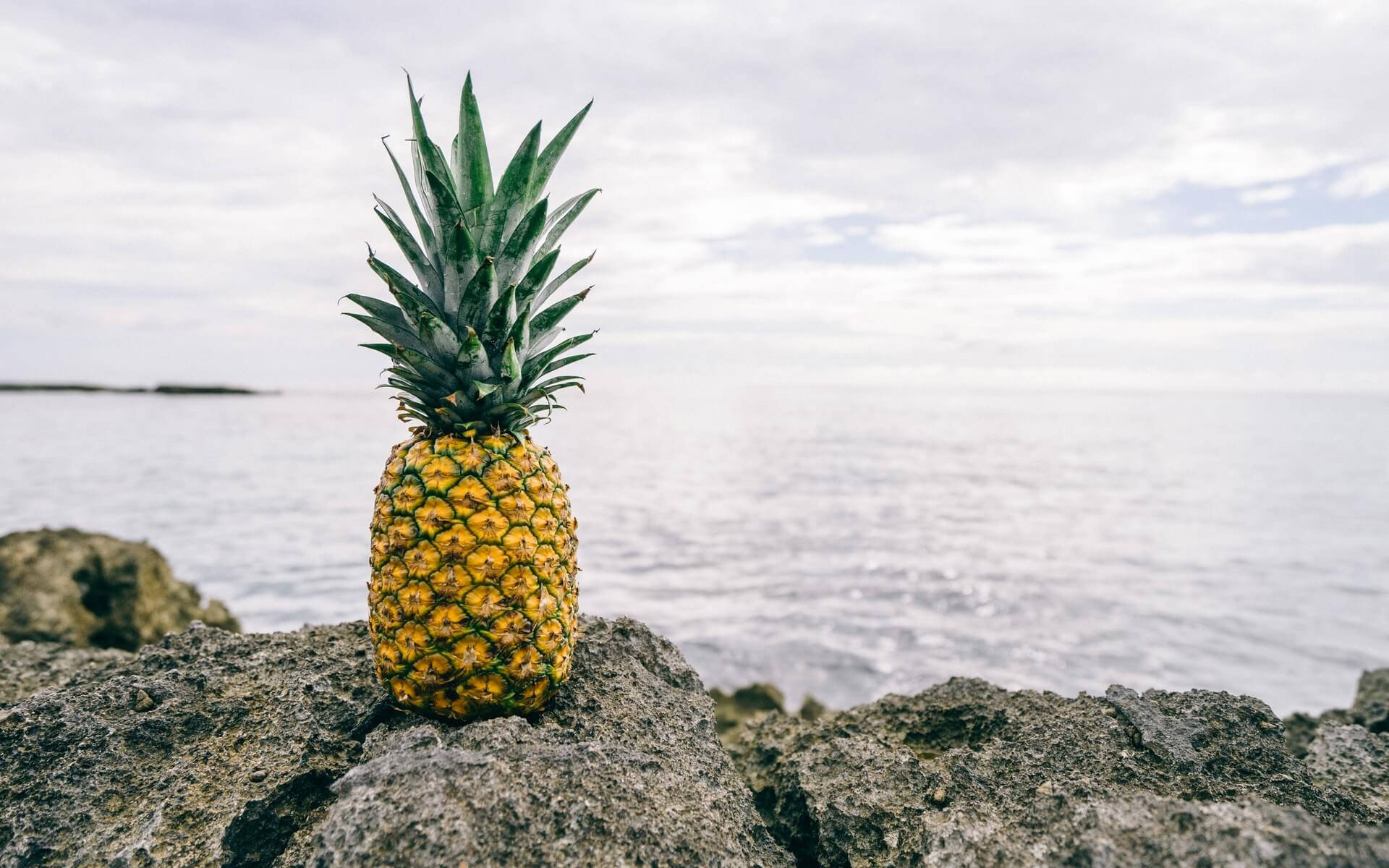 A Golden Pineapple Resting On A Rocky Shore On A Sunny Day. Background